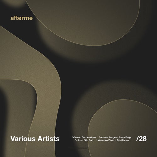 VA – [DAM28] (2025)
