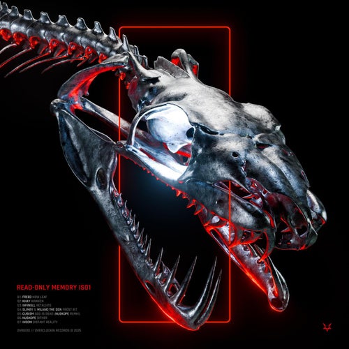 VA – Read Only Memory IS01 – OVR001S (2025)