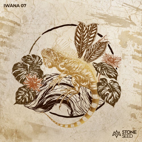VA – IWANA 07 (2025)
