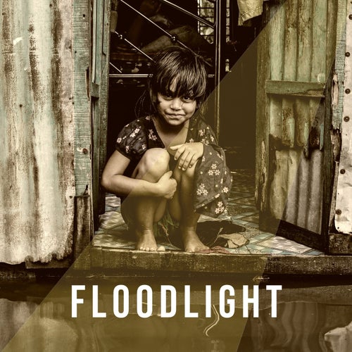 VA – FLOODLIGHT VOLUME 6 (2025)