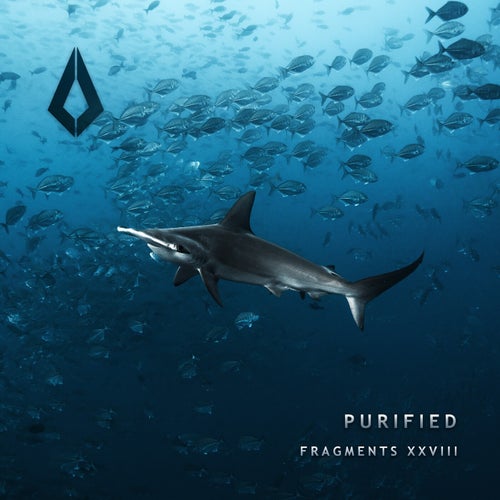 VA – Purified Fragments XXVIII [PF0190BP] (2025)