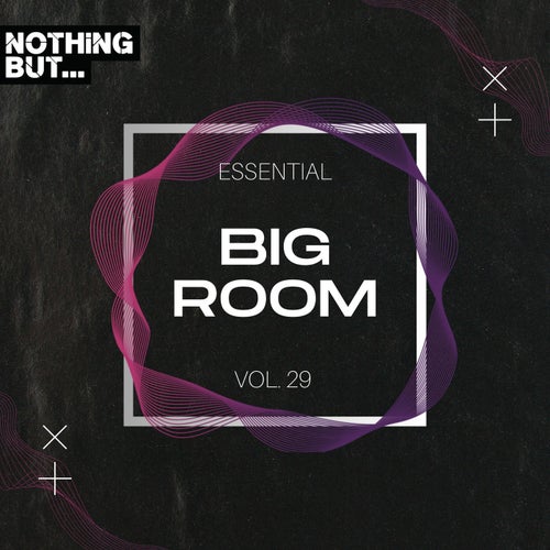 VA – Nothing But… Essential Big Room, Vol. 29 (2025)
