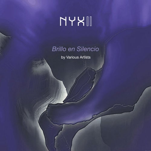 VA – Brillo en Silencio (2025)