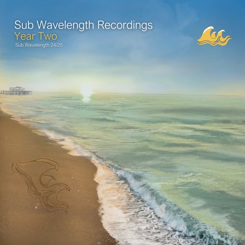 VA – Sub Wavelength Recordings Year Two – SWLAC002 (2025)