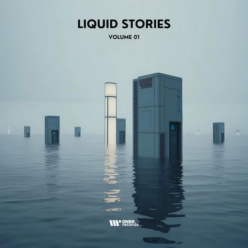 VA – Liquid Stories Vol 1-LIQUIDSTORIES001 (2025)