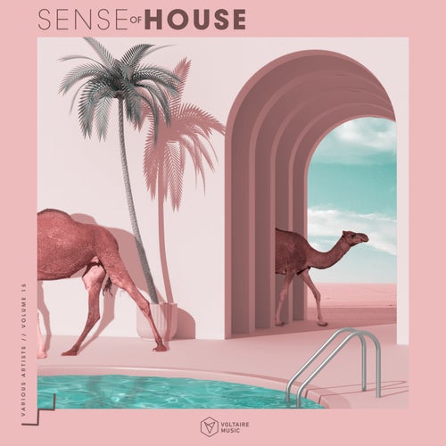 VA – Sense Of House Issue 15 (2025)