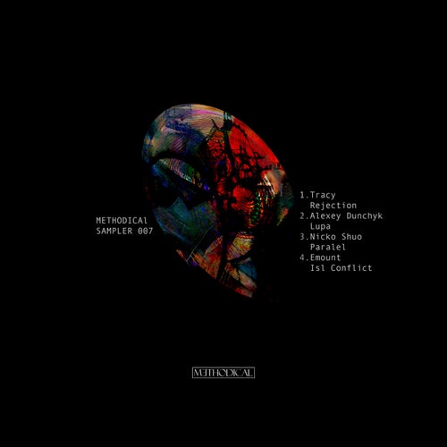 VA – Methodical Sampler 007 (2025)