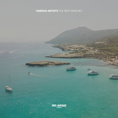 VA – The Next Wave 01 (2025)