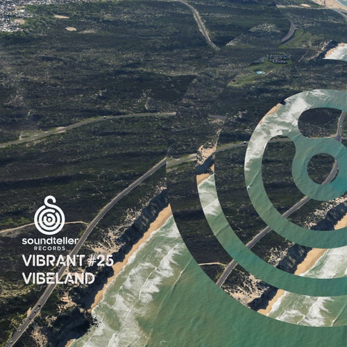 VA – Vibrant Vibeland #25