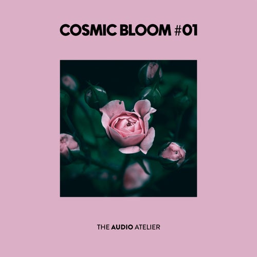VA – Cosmic Bloom #01 (2025)