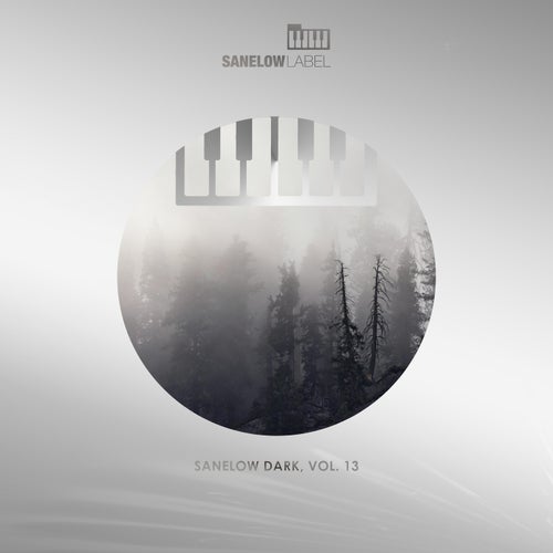 VA – Sanelow Dark, Vol. 13 (2025)