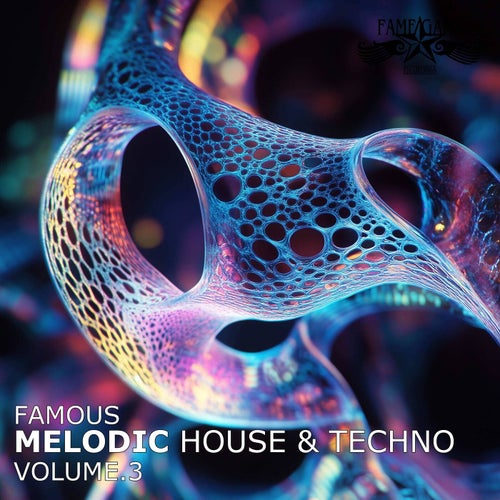VA – Famous Melodic House & Techno, Vol. 3 (2025)