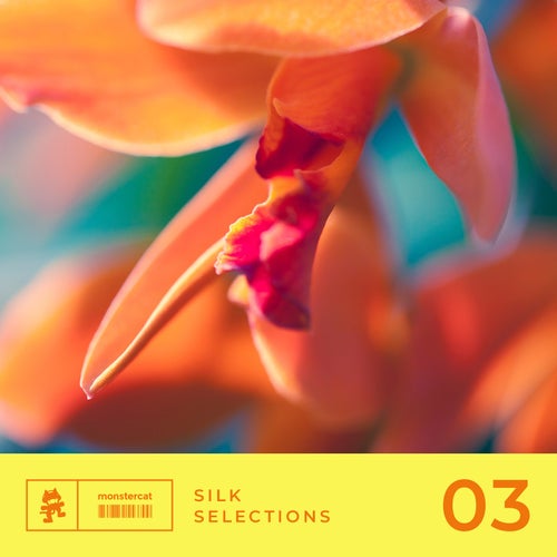 VA – Silk Selections 03 (2025)