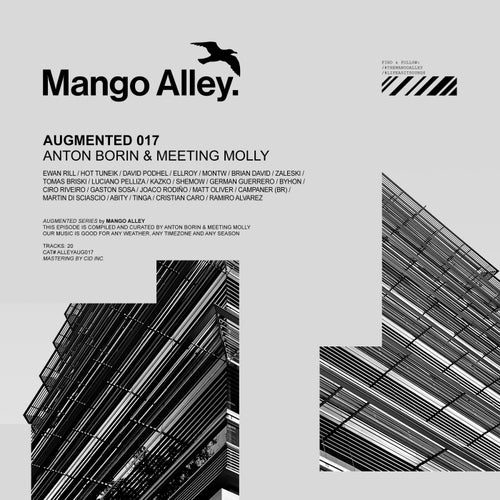 VA – Augmented 017  Anton Borin & Meeting Molly (2025)