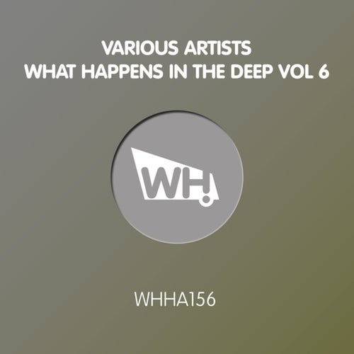 VA – What Happens In The Deep Vol 6 (2025)