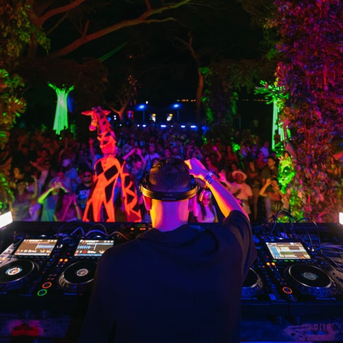 Dum K – Calma Chart