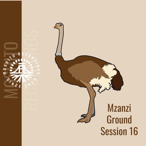 VA – Mzanzi Ground Sessions 16 (2025)