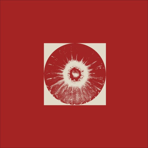 VA – Circular Limited 13 Years Compilation (2025)