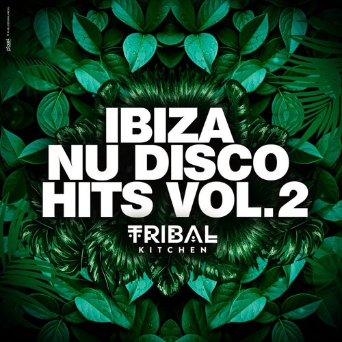 VA – Ibiza Nu Disco Hits Vol. 2 (Tribal Kitchen) (2025)