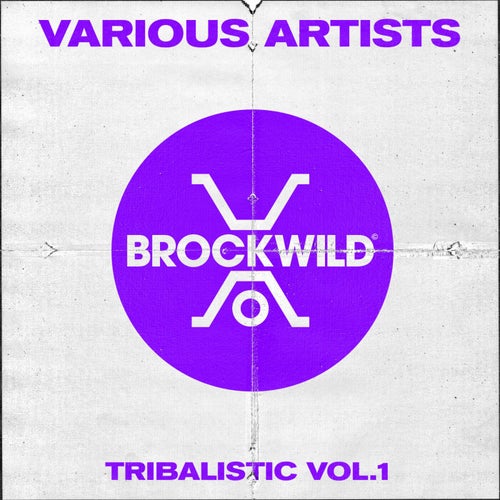 VA – Tribalistic Vol.1 BW025 FLAC