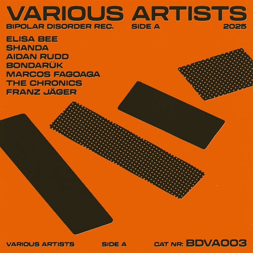 VA – Various Artists, Vol. 003 BDDVA003 FLAC