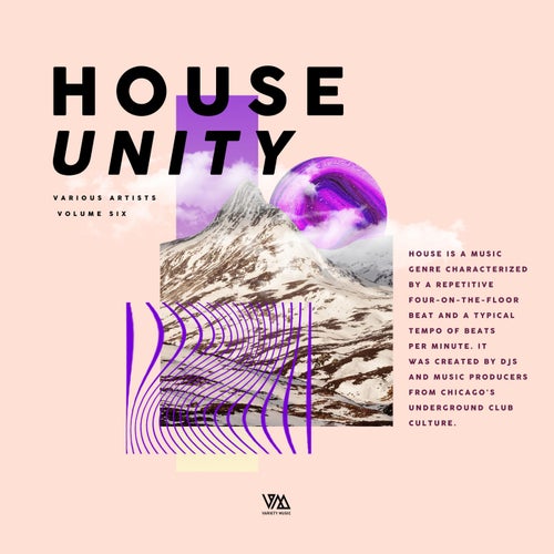 VA – House Unity Vol. 6 VMCOMP1719 FLAC