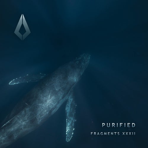 VA – Purified Fragments XXXII PF0220BP FLAC