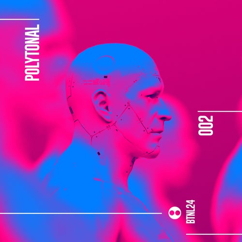 VA – Polytonal 002 BTNL24 FLAC