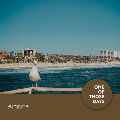 VA – Life Memories, Vol. 8 [OOTDLP011]