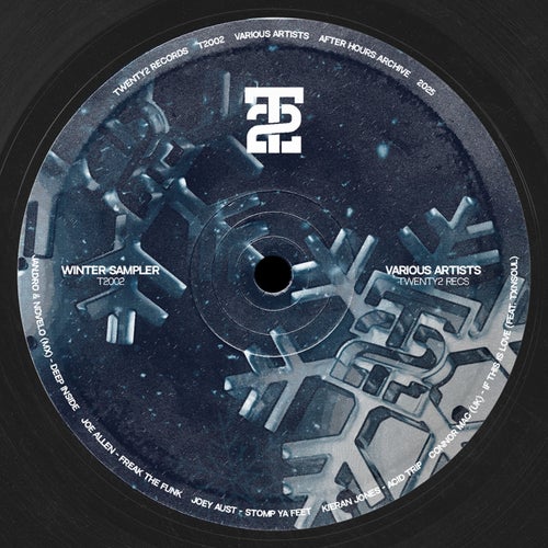 VA – Winter Sampler (2025) [Twenty2 Recs.]