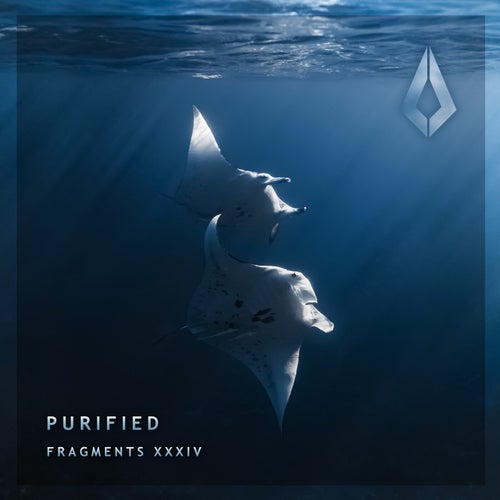 VA – Purified Fragments XXXIV PF0233BP
