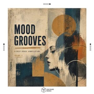 VA – Mood Grooves Vol. 12 VOLTCOMP1759 FLAC