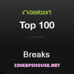 BEATPORT TOP 100 BREAKS JUNE 2026