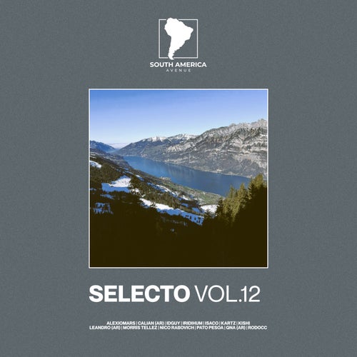 VA – Selecto South America, Vol. 12 [SAALP022]