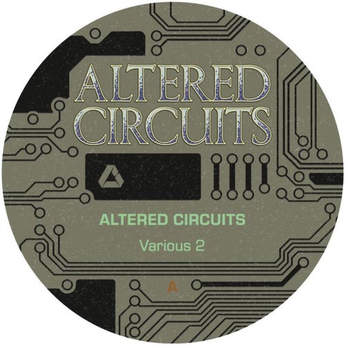 VA – Various 2 [ALT021] FLAC